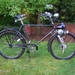 Berini M13  32cc 1953 op een Reichsadler herenfiets