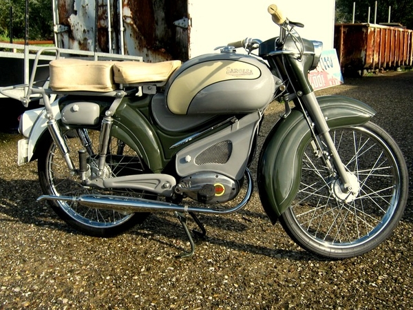 Sarolea