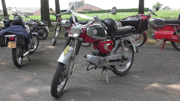 Batavus TS50