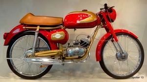 Atala Freccia d`Oro - Golden Arrow