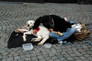 138 Antwerpen - wandeling in de stad