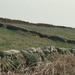 P1000679