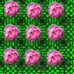 filters en rozen
