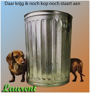 hond