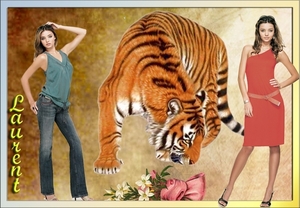 tijger