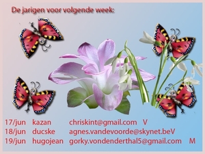 verjaardagen WK 24