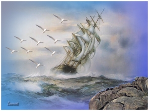 Schip in nood