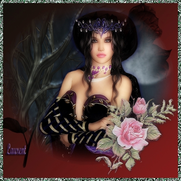 Nachtelijke schoonheid