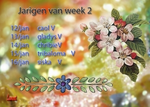 jarigen week2