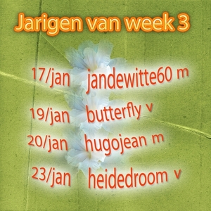 jarigen week 3