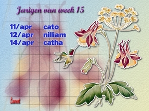 jarigen week 15