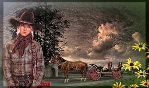 paard en koets