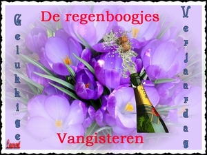 jarigen (2)
