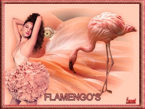 flamingo's