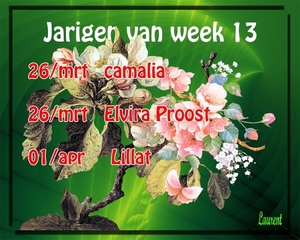 Jarigen van week 13