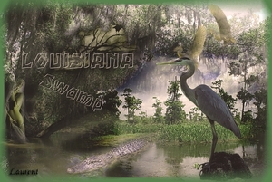 Louisiana Swamp