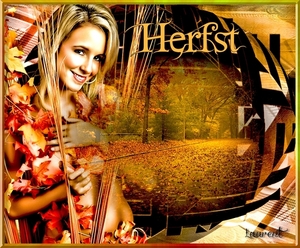 Herfstbos