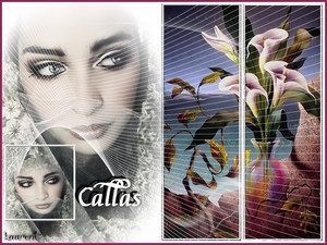 Callas