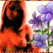 Paloma_B_054