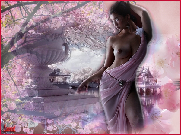 Drevers_Sakura_achtergrond