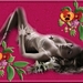 Giada_lily_dream