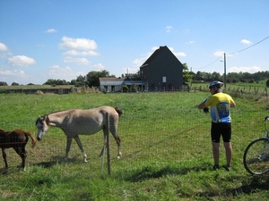 Fietsen Westuit Bassilly Edingen 2010 089