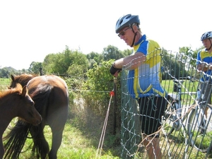 Fietsen Westuit Bassilly Edingen 2010 092