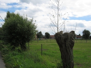 Fietsen Westuit Bassilly Edingen 2010 197