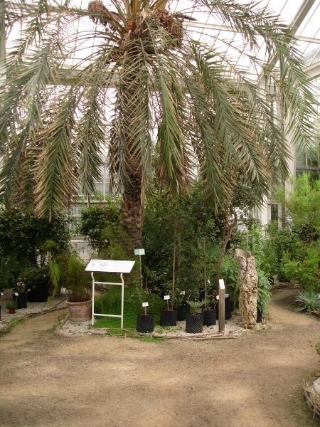 Meise Nationale plantentuin het plantenpaleis