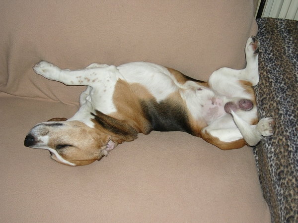 relaxen