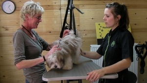 rikske bij de kapper