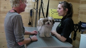 RIKSKE bij de kapper