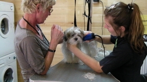 RIKSKE bij de kapper