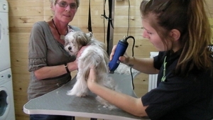 RIKSKE bij de kapper