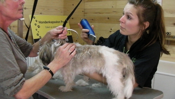 RIKSKE bij de kapper