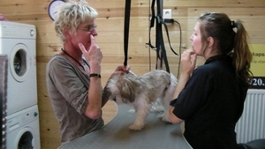 RIKSKE bij de kapper