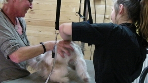 RIKSKE bij de kapper