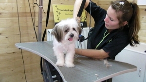 RIKSKE bij de kapper