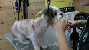 RIKSKE bij de kapper