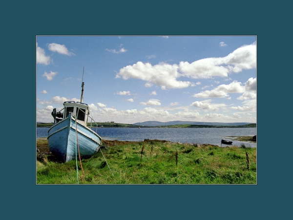031 Bootje in het gras