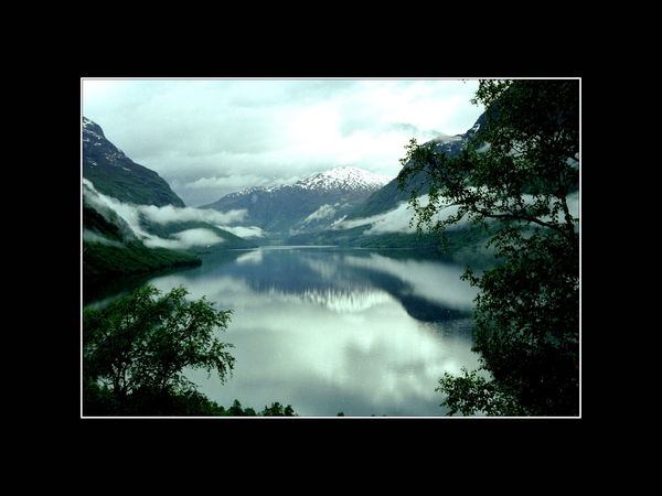 034 WEERSCHIEGELING01