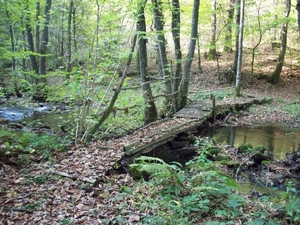 La Géripont Herfst 2010 (1)