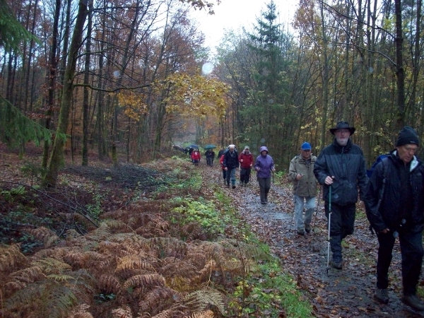 PaliseulHerfst2010 (2)