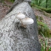 ROCHEHAUT Septembre 2009 066