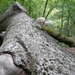 ROCHEHAUT Septembre 2009 067