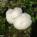 2010_09_04 Romedenne 03