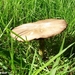 2010_09_04 Romedenne 05
