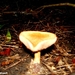 2010_09_05 Doische 39