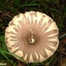 2010_09_05 Doische 45