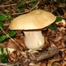 2010_09_05 Doische 49